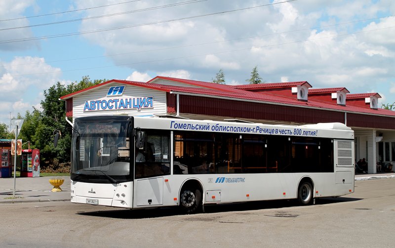Автовокзал речица. Автобус Колюбакино Тучково. Речица автобусы. Автовокзал Лесной. 16 Автобус Гомель.