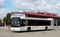 расписание автобуса Гомель - Речица